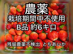 雑誌で紹介された 農薬:栽培期間中不使用「苺園 愛果」 - メルカリShops 果物