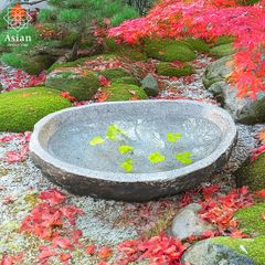 睡蓮鉢 石 大型 おしゃれ 庭 つくばい 手水鉢 蹲 水鉢 メダカ鉢 金魚鉢 水盤 鉢 坪庭 和風 ガーデニング アジアン バリ  (12)