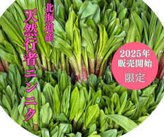 道民必須アイテム‼️ 北海道産天然行者ニンニク　500g