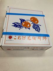 GENKI製　プレスダウン&カール　専用バー（ベアリング式） GENKI製 プレスダウン&カール 専用バー（ベアリング式） - メルカリ