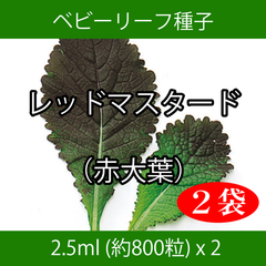 ベビーリーフ種子 B-33 レッドマスタード（赤大葉） 2.5ml x 2袋