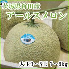 九州産アールスメロン 3L5玉 - メルカリ