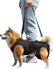 Item thumbnail for item 9e2df359-2a7f-4409-9dec-c6bee5410e60