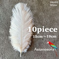 ❤️【ORs24白】10本15-19cm オーストリッチ フェザー 羽根