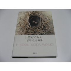 小傷み　聖なるもの　野田弘志画集