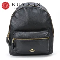 2025年最新】コーチ リュック f30550の人気アイテム - メルカリ