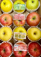 2025年最新】秋田紅あかりの人気アイテム - メルカリ