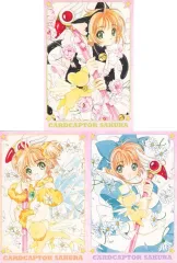【中古】ポストカード 木之本桜＆ケロちゃん(コミック2巻～4巻表紙) ポストカードセットA(3枚組) 「カードキャプターさくら」