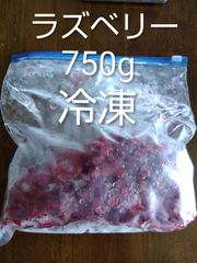 高知県産 冷凍ブルーベリー 4キロ 着払い - メルカリ