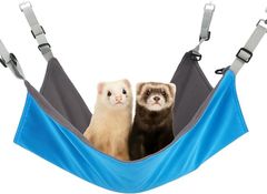 Item thumbnail for item 5b09d3c9-cc58-40b8-bf95-eb7cbbe25b30