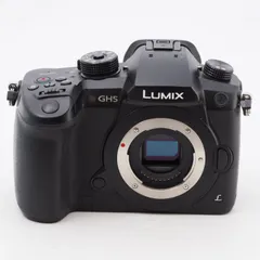 2024年最新】Lumix DC-GH5の人気アイテム - メルカリ