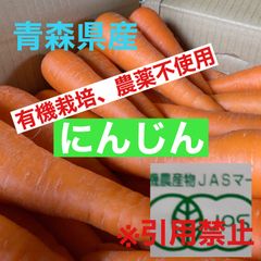 規格外人参 10kg 有機JAS認定、農薬不使用 【TSK】 - メルカリShops