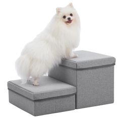 Item thumbnail for item 315f51e8-ada0-4cbe-a553-f24cb268639c