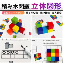 タングラム　図形パズル　パターンブロック　小学校受験教材　幼児教育　知育 タングラム 図形パズル パターンブロック 小学校受験教材 幼児