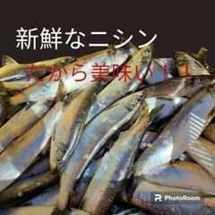 焼魚用ニシンの半身干し20枚入り2980円