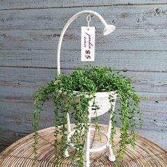 ガーデニング雑貨 植木鉢 プランター ブリキポット ブリキ バケツ 鉢 鉢カバー ガーデン雑貨 ガーデニング 雑貨 アンティーク ナチュラル おしゃれ かわいい BUCKET シャワーバケットS MT-7061-80