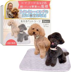 Item thumbnail for item 5383cd2a-164d-4540-9eac-584b3ed49c23