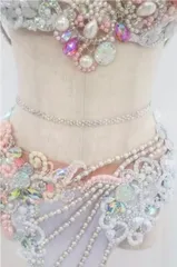 コ*コ様 新品、未着用　ベリーダンス HALLA お衣装　ウクライナ ベリーダンス衣装 2カラー QCZW YC102 202408 | Belly Treasure®︎
