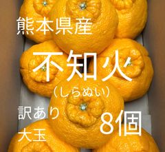 【訳あり品】熊本県産みかん　不知火(しらぬい) (通称：デコポン) 4kg 大玉のサムネイル
