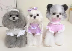 2024年最新】犬服パープルの人気アイテム - メルカリ