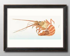 海老 絵画 エビ イセエビ図 アート オブジェ 壁掛け 額縁 縁起物 不老