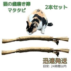 Item thumbnail for item 1f12c3dc-7c6d-4151-bd35-6bafa2bccc98