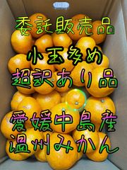 温州みかん　小玉多め超訳あり品