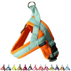 Item thumbnail for item 3dc1b38d-5777-4aba-b314-9de0c33f7df1