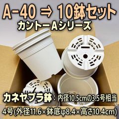 A-40白(カネヤ＊カントー)プラ鉢10鉢セット＊多肉植物・塊根植物コーデックス・アガベ・サボテン・盆栽・観葉・ハオルチア・アデニウム・パキポディウム・実生＠フラワーショップ江口※黒インク状の付着が有ったりします