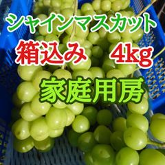 黄金シャインマスカット 甘熟家庭用房2kg 箱込み長野県産種無しぶどう