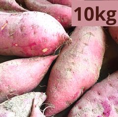 さつまいも 紅はるか  約10キロ　栽培期間中農薬不使用