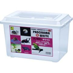 Item thumbnail for item 004e6acd-854e-48f4-80ed-53bb44307851