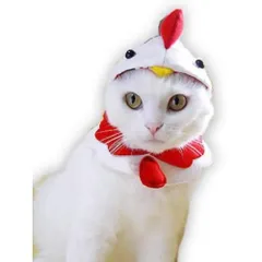 キャットプリン ハッピー 福酉にゃんセット 1枚　猫の服 猫服 キャットウエア 猫用 付け襟 ネックカラー 帽子 ネコ ねこ かわいい おしゃれ コスプレ 変装 散歩 ファッション 記念写真 年賀状 ペット名刺 