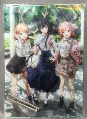 취미 스톡 신작 A4 비주얼 아크릴 플레이트 A상 역시 내 청춘 러브 쌀은 틀렸다. 완 공원 데이트 ver 특전