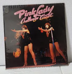 2025年最新】ピンクレディーチャレンジコンサートの人気アイテム