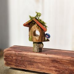 【再販不可】苔の森からの贈り物　小さなお家　ドールハウス　小鳥やリス等のお家にも　ミニチュア