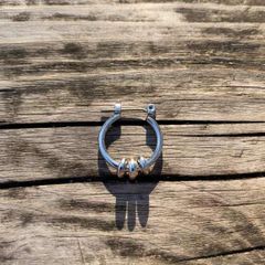 Item thumbnail for item 1c908001-3876-4bdd-9f13-7a32b2633939