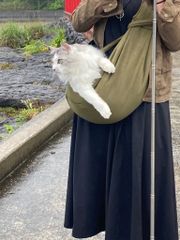 ペットスリング 長さ調節可能 メッシュネット付き 小型犬 猫 キャリーバッグ  犬 スリング 犬 抱っこ紐 ドッグスリング Lil&Fam