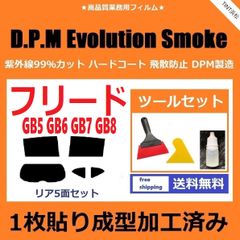 カーフィルム カット済み リアセット フリード GB5 GB6 GB7 GB8 【１枚