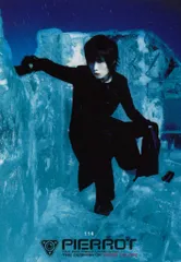 2025年最新】PIERROTキリトの人気アイテム - メルカリ