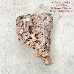 250514　 ポルトガル産 キャノンコルク コルク樹皮 　バージンコルク 250514 ポルトガル産 キャノンコルク コルク樹皮 バージンコルク