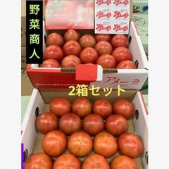 アメーラ アメーラトマト フルーツトマト トマト 野菜 市場直送 野菜商人 濃厚 凝縮 高糖度 濃縮 新鮮野菜