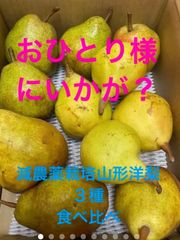 減農薬栽培山形県東根市産おひとり様　洋梨食べ比べセット3.5キロ前後