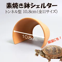 ウーパールーパー　シェルター こんばんは！ 今日のかわいこちゃんは、ウーパールーパーのふく