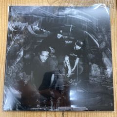 LIZARD「The Book Of Changes」 レコード【特価】中古 - メルカリ