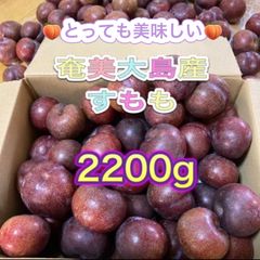 奄美大島産 すもも 2.2kg クール便＊無農薬 - メルカリ