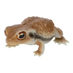 【中古】トレーディングフィギュア ヒキガエル(レッド) 「いきもの大図鑑レプティ ヒキガエルとモリアオガエル」