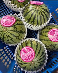 ４玉・メル便・北海道・ユカママ・ピノガール fruits-senri_pinogirl46