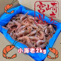 国産   海老　天然海老　2kg    小エビ　つる海老　芝海老　かき揚げ　バラ凍結　宮崎日向灘    宮崎産　釣り餌