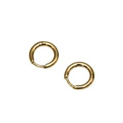 TOM WOOD　トムウッド　Classic Hoop Small Gold　ピアス　8054000203086